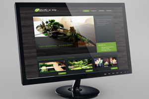 Социальный эко-проект