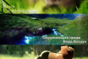 Баннеры для Nikken