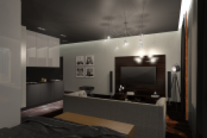 студия холостяка