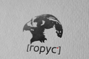 Логотип для компании по установке видеонаблюдения "Горус"