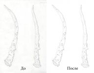 img1447672.png