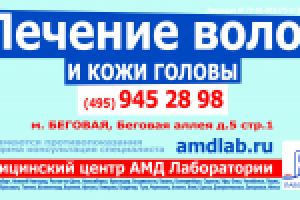 Работа 2307683