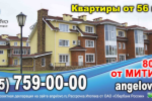 Работа 2307675