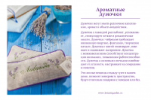 Ботанический сад - рекламная открытка