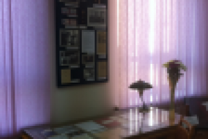 Музей истории ССЭИ РЭУ им.Плеханова