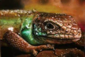 Работа 3178272