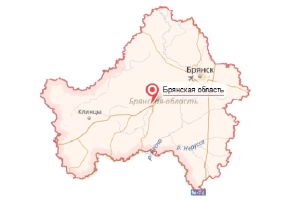 Брянская область - услуги таможенного брокера