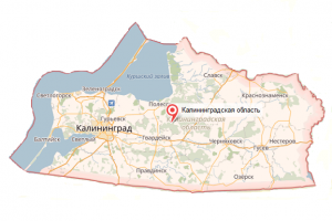 Калининградская область - услуги таможенного брокера