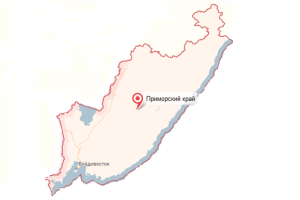 Приморский край - услуги таможенного брокера