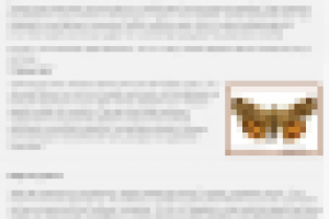 Тиковое дерево