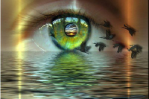 Все ограничения только в...