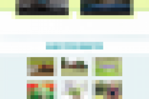 Landing Page продажа цветов