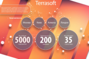 Структура компании