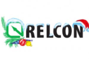 Логотип для Нового Года