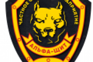 Логотип для ЧОПа