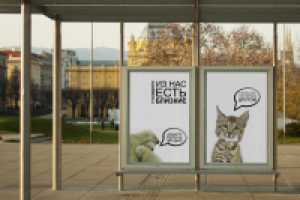 Социальные плакаты в защиту животных