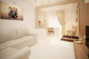 Проект 2-к кв. квартиры для холостяка