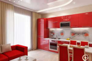 Проект "Красные маки"-кухня - гостиная