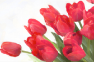 тюльпаны под акварель