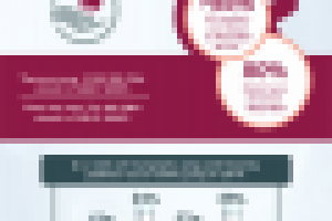 Инфографика для сайта