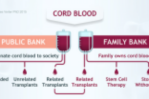 Инфографика для сайта