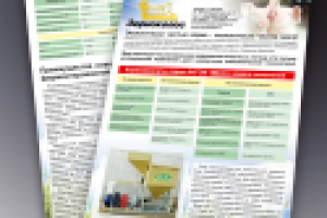 Листовка А4