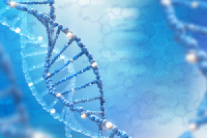 Баннер 5000х3500pxl