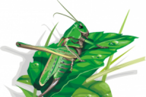 элемент дизайна для интернет страницы (вектор)