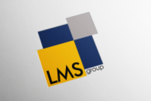 Логотип и фирменный стиль для "LMS group"