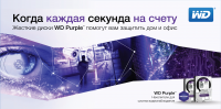 Работа 2398504