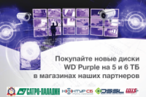 Работа 2398506