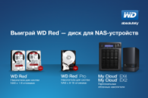 Работа 2398503