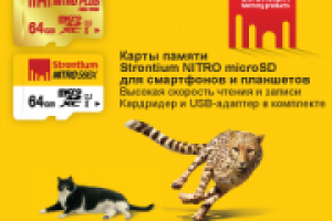 Работа 2398486