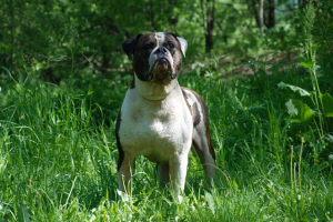 Работа 3162400