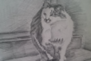 300 рублей карандаш А4