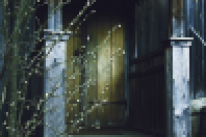 Архитектура