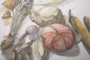 Работа 2155249