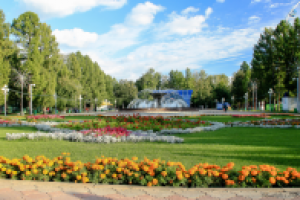 Работа 3107193