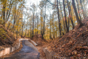 Работа 3103092