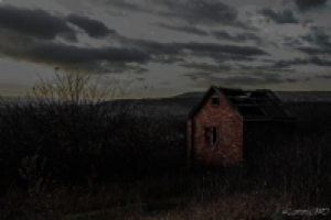 Работа 3107192