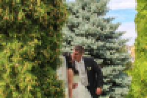 Работа 3103113