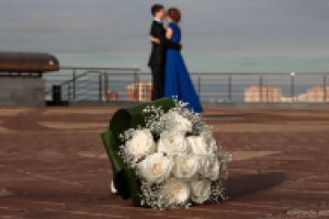 Работа 3103100