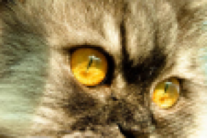 Работа 3103144