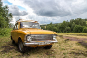 Работа 3103139