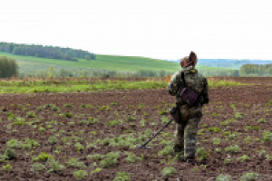 Работа 3103132