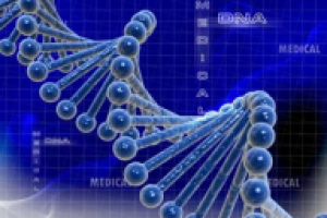 Генетические алгоритмы