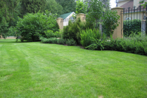 Проект ландшафта и дизайн частного сада. МО