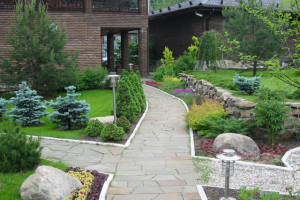 Звягино. МО. Участок с небольшим уклоном