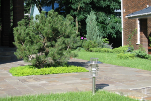 Звягино. МО. Участок с небольшим уклоном