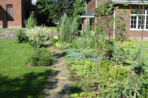 Звягино. МО. Участок с небольшим уклоном